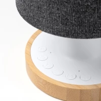 Recycled speaker usb lamp