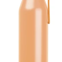 Gourde isotherme 650ml