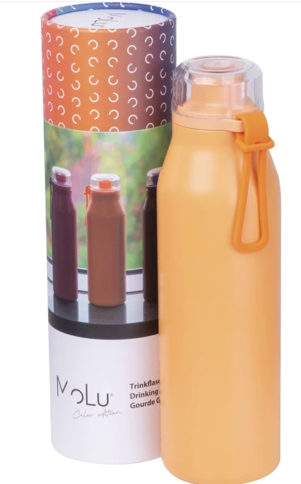 Gourde isotherme 650ml