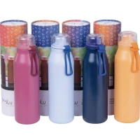 Gourde isotherme 650ml