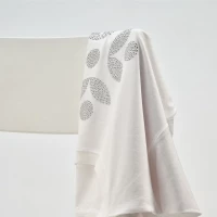 Tee-shirt bio 165g