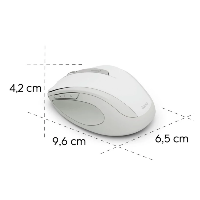 Souris sans fil