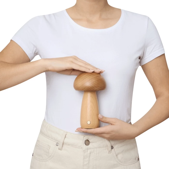 Lampe champignon usb